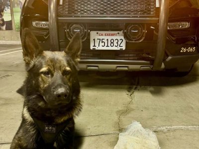 Carrie Waldemar and Nicolas Brown arrested in Roseville meth bust