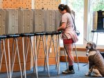 Democrats lead generic congressional ballot by 7 points in new poll