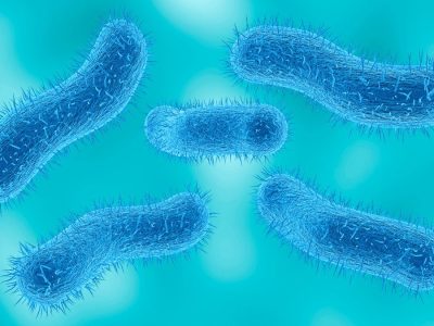 Drug-resistant shigellosis cases linked to sexual activity rise nationwide